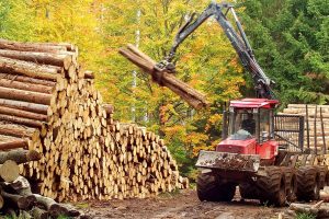 Industri-Logging-dan-Alat-Berat