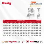 Tabel Ukuran Crosby G209