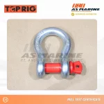 Bow Shackle Screw PIN G209 Toprig