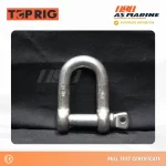 Dee Shackle Stainless 316 Toprig
